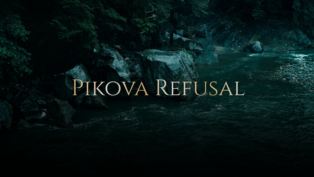 What Pikova Refuses, Why We Won't Strip Water to Sell It Back to You